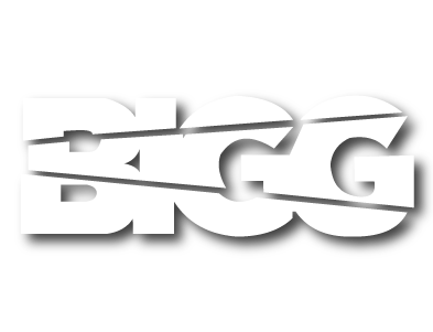 Bigg fit logo